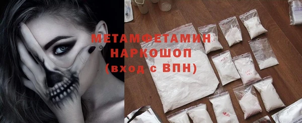 шишки Саяногорск
