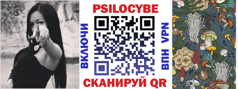 сколько стоит  Кириши  Галлюциногенные грибы Psilocybe 
